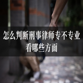 怎么判断刑事律师专不专业？看哪些方面？