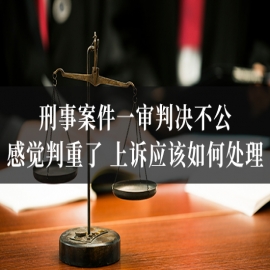 刑事案件一审判决不公，感觉判重了，上诉应该如何处理？