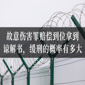 故意伤害罪赔偿到位拿到谅解书，缓刑的概率有多大？