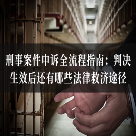 刑事案件申诉全流程指南：判决生效后还有哪些法律救济途径？