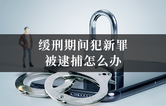 微信图片_20241118161220