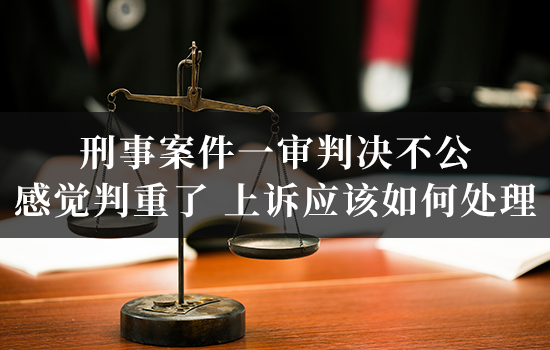 刑事案件一审判决不公，感觉判重了，上诉应该如何处理？