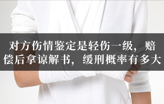 对方伤情鉴定是轻伤一级,赔偿后拿谅解书,缓刑概率有多大? 对方伤情鉴定是轻伤一级,赔偿后拿谅解书,缓刑概率有多大?