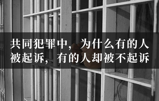 共同犯罪中,为什么有的人被起诉,有的人却被不起诉? 共同犯罪中,为什么有的人被起诉,有的人却被不起诉?